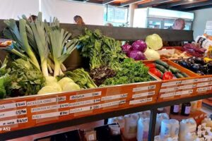 Aloe almacén natural