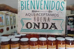 Apicola Calandri mundo de las abejas