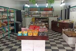 Artemis Dietetica (tapiales)