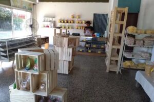 ᒐᥱt&rsquo;⳽ ᙃɾᥱᥲຕ ᙃɩᥱtᥱtɩᥴᥲ