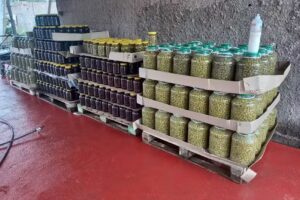 &ldquo;DEL SALADO &ldquo;Productos Regionales!!🫒🍇