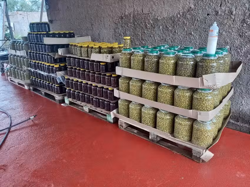 &ldquo;DEL SALADO &ldquo;Productos Regionales!!🫒🍇