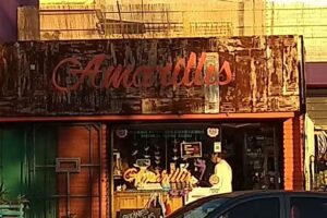 Diet&eacute;tica Amarillis