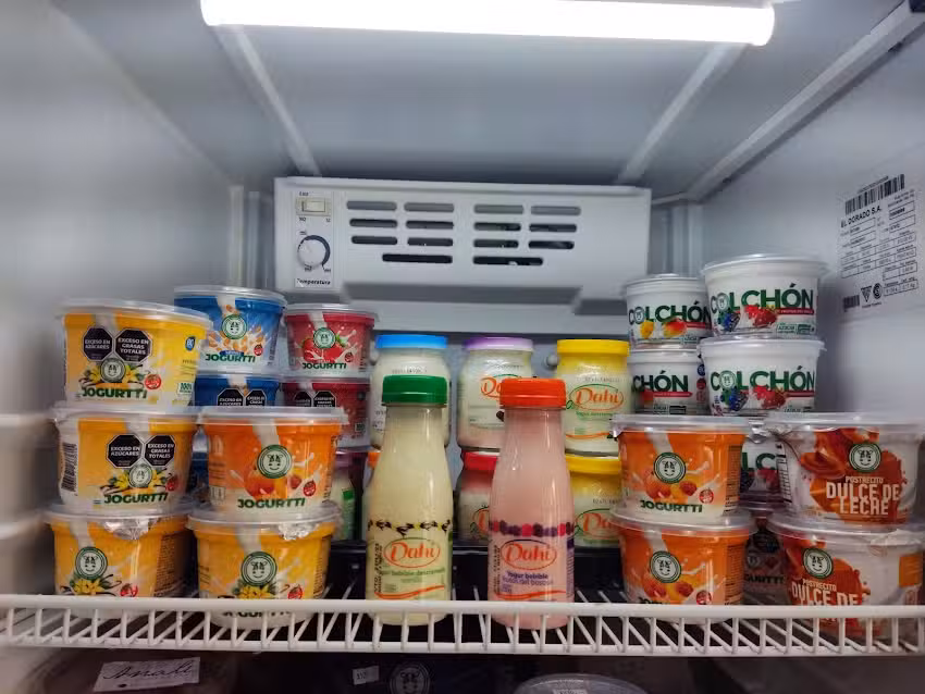 Diet&eacute;tica Anal&iacute;