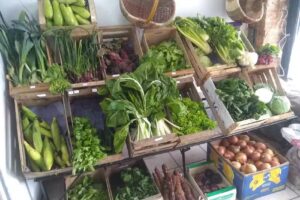 Dietética “Ser Semilla”