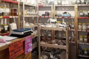 Diet&eacute;tica Vida Sana