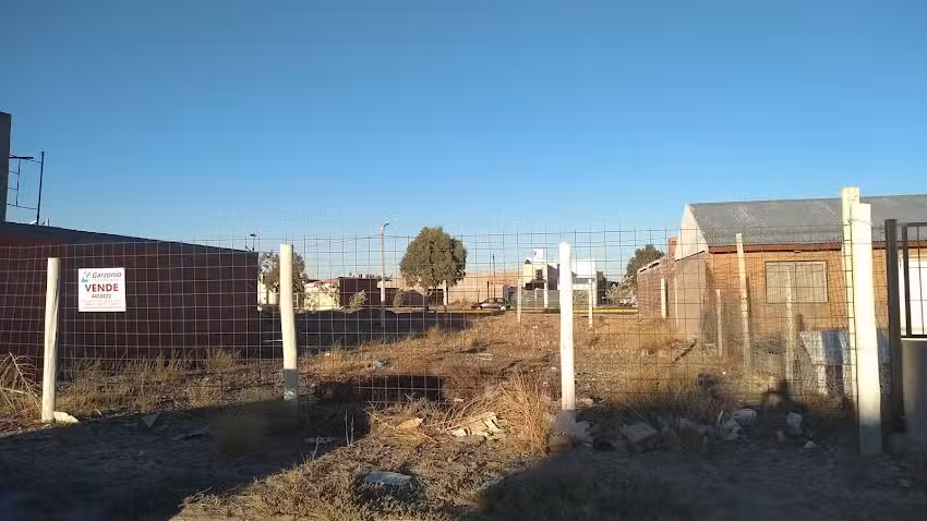 El rey herboristeria trelew