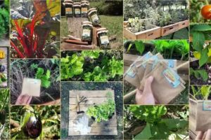 El&auml;m&auml; | Huerta y Sustentabilidad