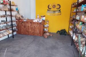 Girasoles Almac&eacute;n Natural