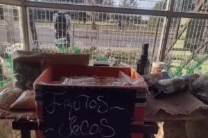 JAZAK VEEMATZ DIETETICA