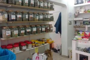 Plan B &ndash; Tienda Natural / Diet&eacute;tica