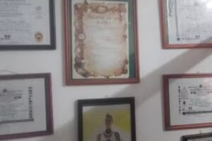 Reflejos del ser – santeria herboristeria