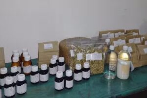 Sanadoras – Plantas medicinales