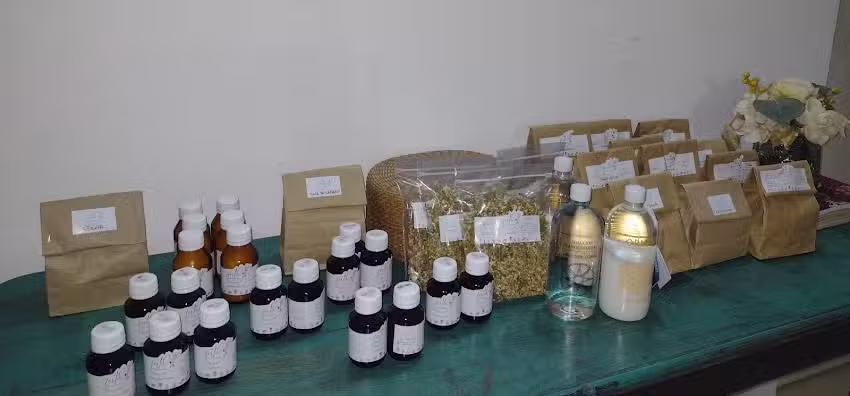 Sanadoras &ndash; Plantas medicinales