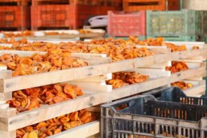 YASHAR Frutos Secos y Deshidratados